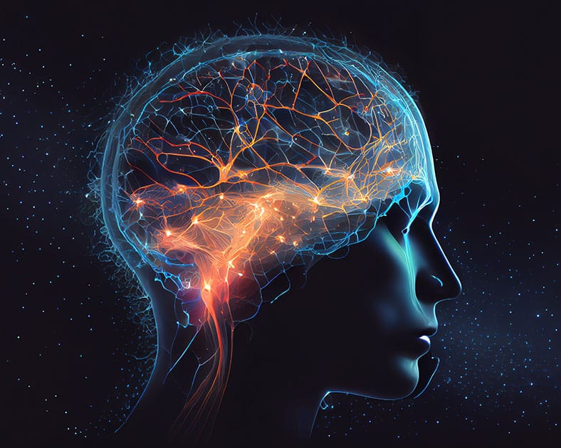 marketing-strategy-creation-miami-new-york